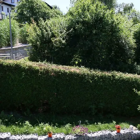 Ferienwohnung Haus Anton Zwiesel Exterior foto